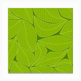 Green Leaves Canvas Print