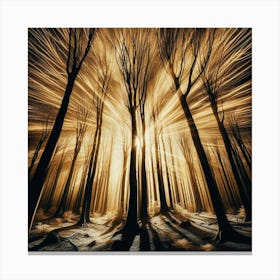 Dark Forest 37 Canvas Print