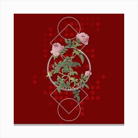 Vintage Rose of the Hedges Botanical with Geometric Line Motif and Dot Pattern n.0117 Canvas Print