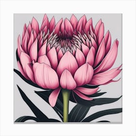 Protea myluckycharm 1 Canvas Print