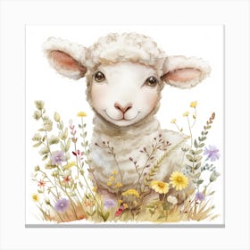 Lamb In The Meadow Canvas Print