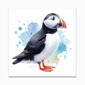 Bird Puffin Canvas Print