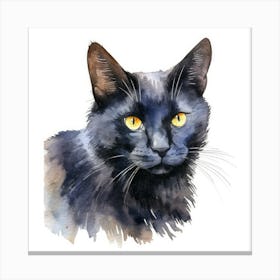 Russian Black Cat Portrait 3 Canvas Print