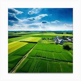 Green Farm Nature Field Landscape Countryside Agriculture Grass Gold Grow Japan Air Plan (10) Canvas Print