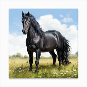 Black Stallion In A Meadow Canvas Print