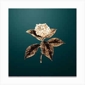 Gold Botanical French Hydrangea on Dark Teal Canvas Print
