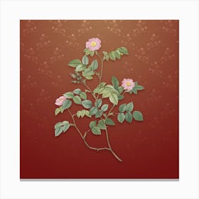 Vintage Sweetbriar Rose Botanical on Falu Red Pattern Canvas Print