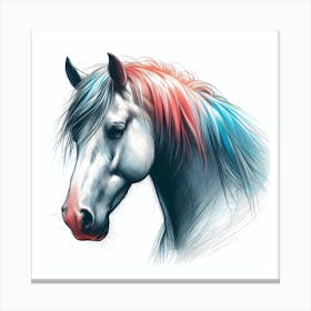 Horse Head 1 Canvas Print