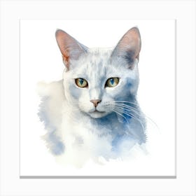 Burmilla Cat Portrait Canvas Print