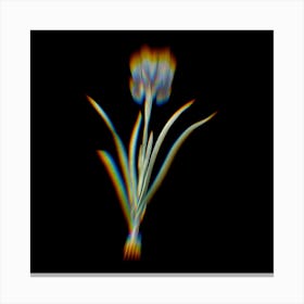 Prism Shift Mourning Iris Botanical Illustration on Black n.0209 Canvas Print