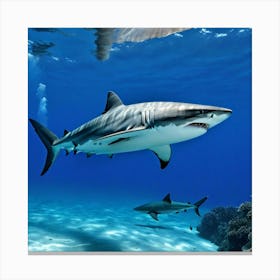 Sharks In The Ocean Canvas Print