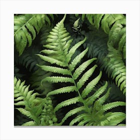 Green fern 9 Canvas Print