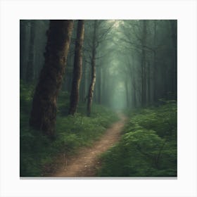 Path In The Woods Canvas Print