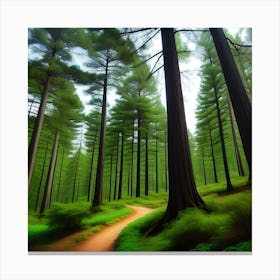 Forest Path Canvas Print