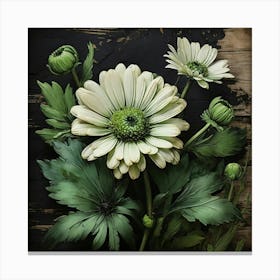 Daisy 2 Canvas Print