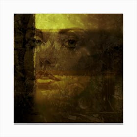 Dream 2 Canvas Print