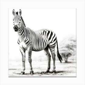 Ethereal Stripes Zebra S Splendor Canvas Print