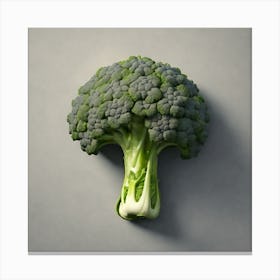 Floret Of Broccoli 3 Canvas Print