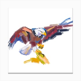 Eagle 02 Canvas Print