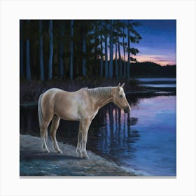 Horse By The Water 6 Canvas Print