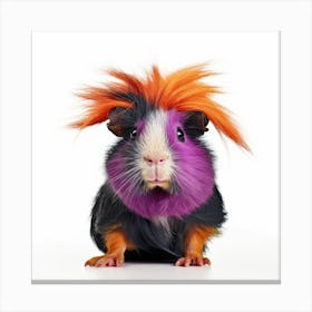 Guinea Pig Canvas Print