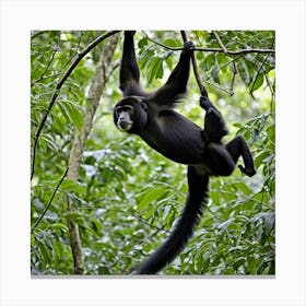 Monkey Hanging From A Tree 2 Canvas Print
