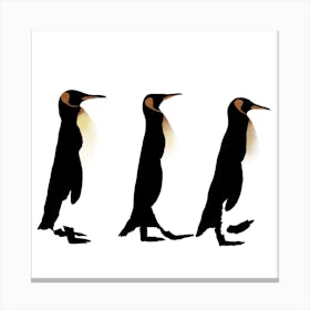 Penguin Trio White Series Square Canvas Print