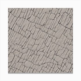 Cracked Concrete Texture 1 Canvas Print