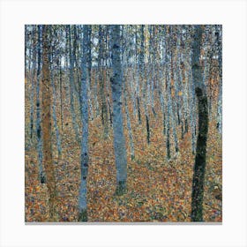 Birch Forest Canvas Print