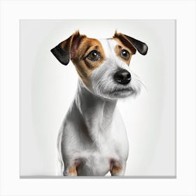 Jack Russell Terrier 1 Canvas Print