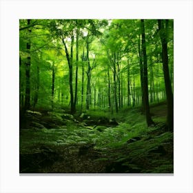 Firefly Emerald Green Forest Enhances Green Tones For Lush, Vibrant Foliage 1 Canvas Print