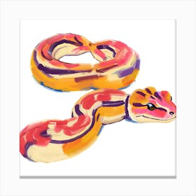 Corn Snake 02 Canvas Print