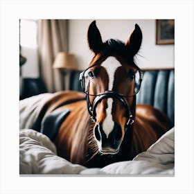 Horse In Bed Canvas Print