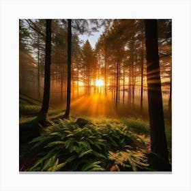 Sunrise In The Forest 5 Canvas Print