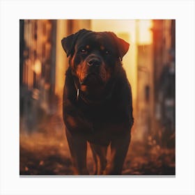 Rottweiler Canvas Print