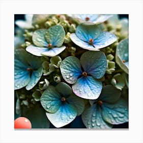 Hydrangeas Canvas Print