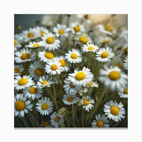 Frame Created From Chamomile On Edges And Nothing In Middle Haze Ultra Detailed Film Photography (4) Canvas Print