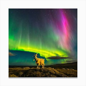 Aurora Borealis Canvas Print