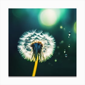 Dandelion and Falling Water Droplets Canvas Print