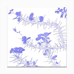 Euphorbia Milii Canvas Print