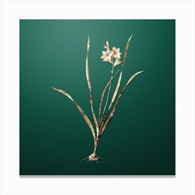 Gold Botanical Gladiolus Lineatus on Dark Spring Green n.4543 Canvas Print