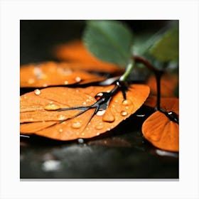 Autumn Leaves 1 Canvas Print