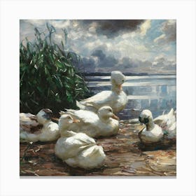 Ducks 1 Canvas Print