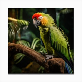 Colorful Parrot In The Jungle 1 Canvas Print