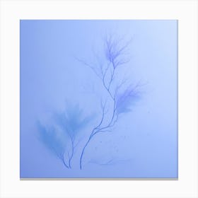 Blue Mist Canvas Print