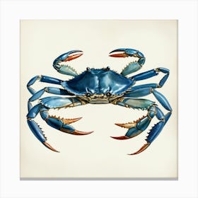 Blue Crab Vintage Graphic Watercolor Art Print Canvas Print