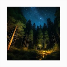 Night In The Forest 10 Canvas Print