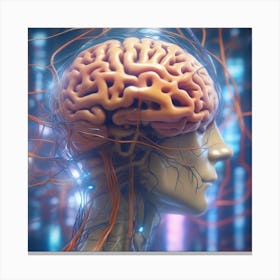Human Brain 40 Canvas Print