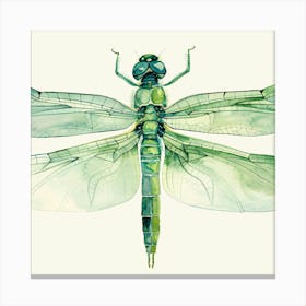 Dragonfly By Me Canvas Print