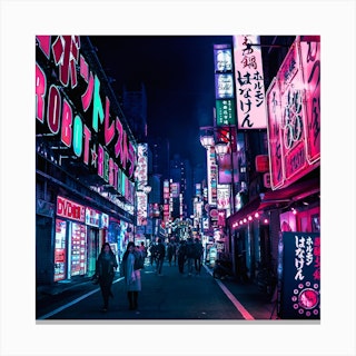 Nocturnal Alley Canvas Print